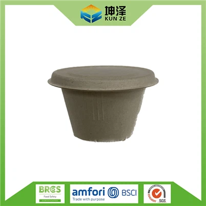 ढक्कन के साथ 4oz सॉस कप