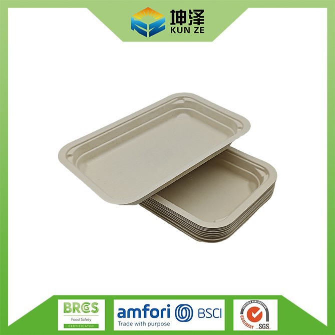 Disposable Trays
