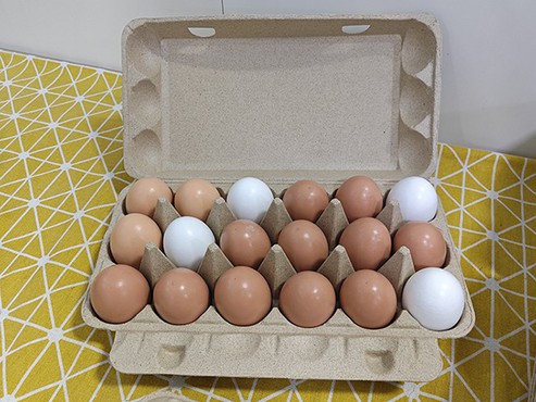 straw egg carton straw egg carton