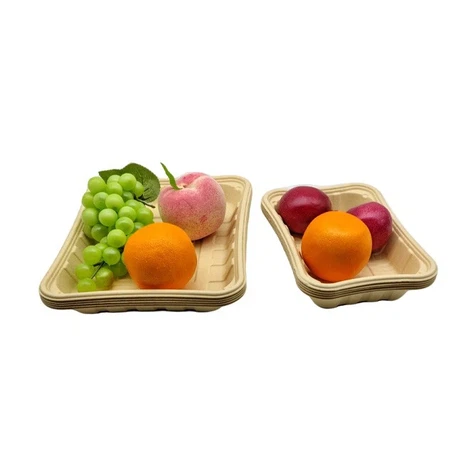 compostable-platesa785f 1 compostable-platesa785f 1