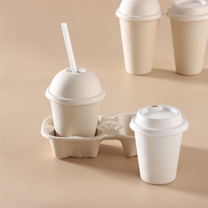 Sugarcane Bagasse Cup suppliers